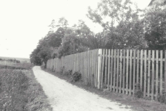 Lata 70 - 05