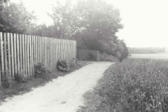 Lata 70 - 04